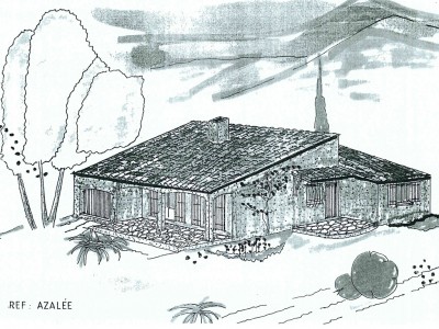 Azalée
