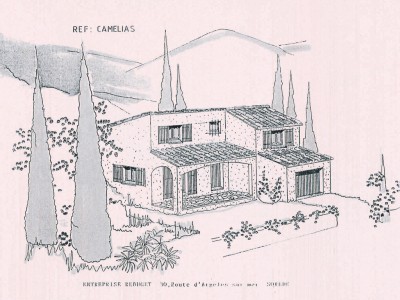 Camélias