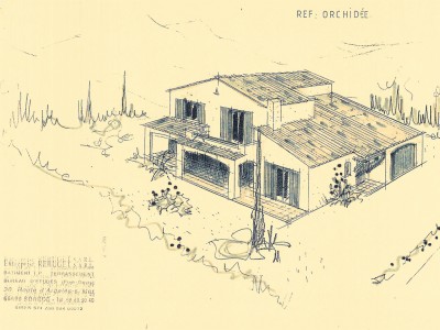 Orchidée