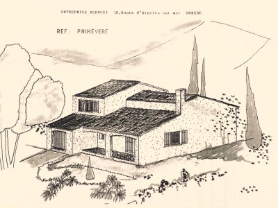 Primevère