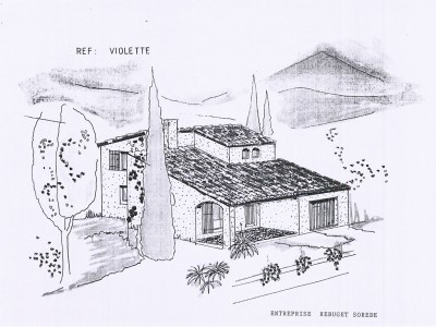 Violette